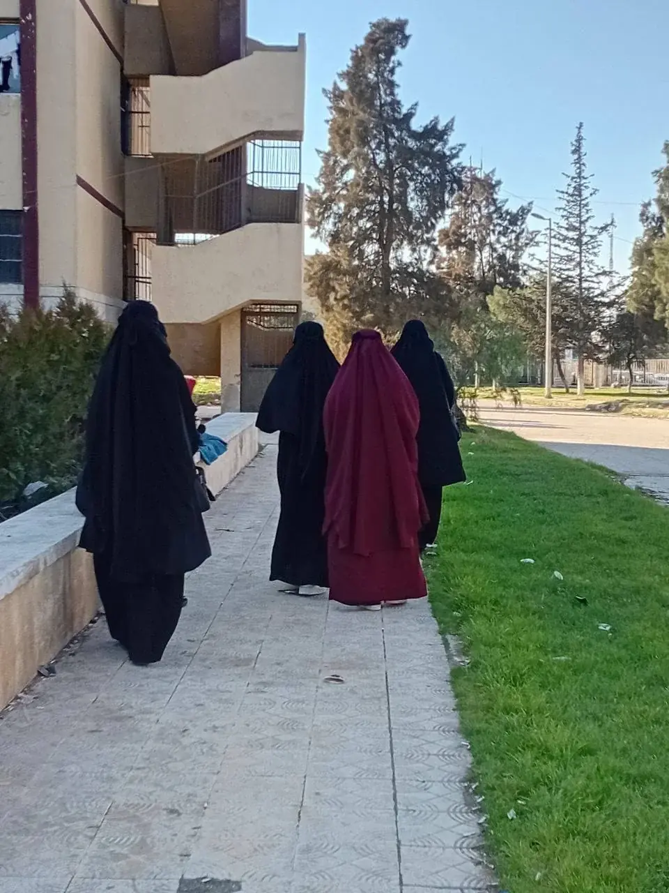 صورة 6