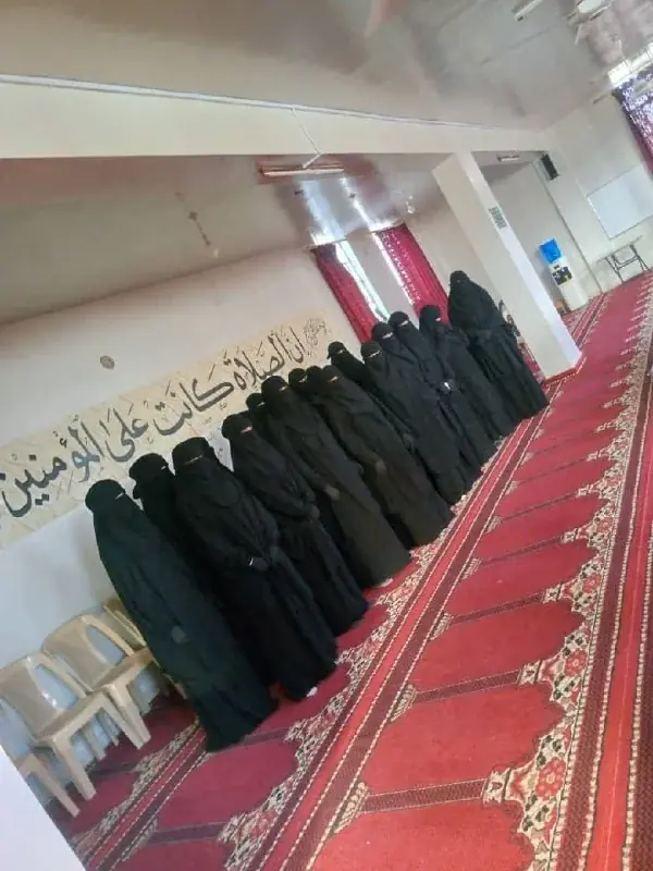 صورة 2