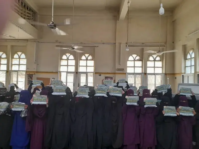 صورة 2