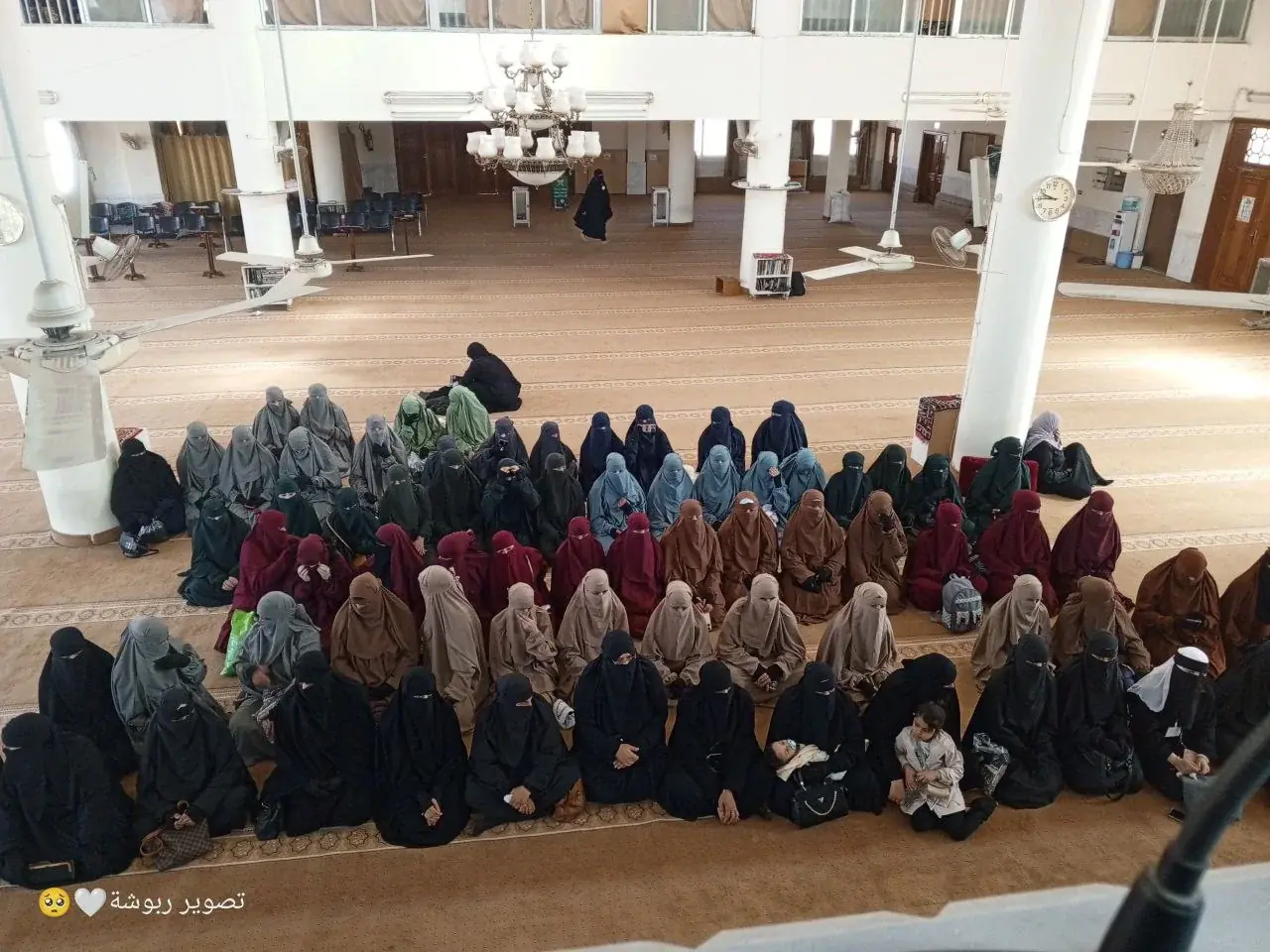 صورة 2