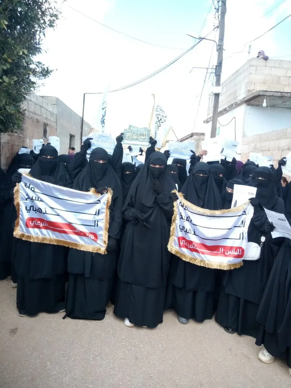 عکس ۳