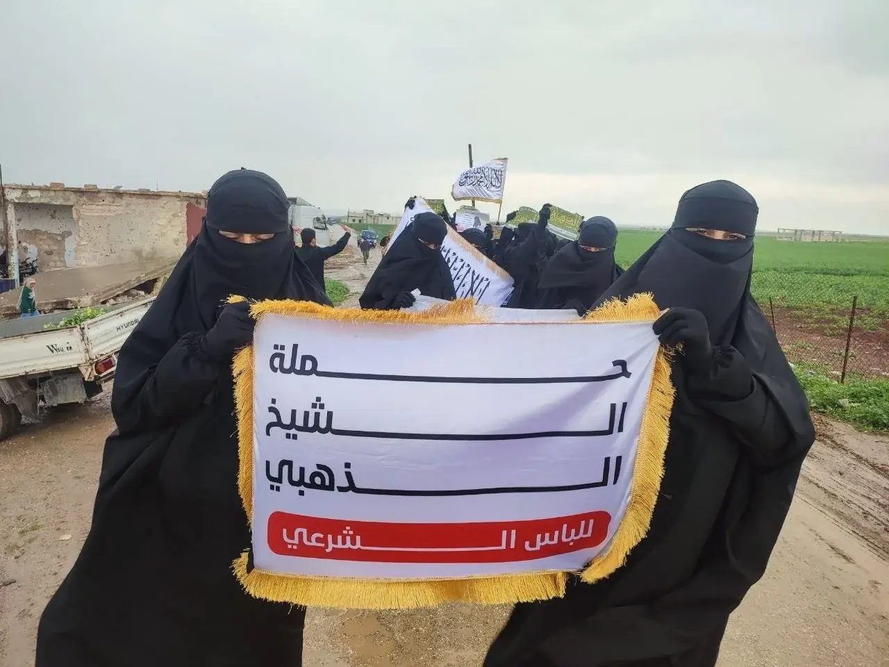 عکس ۳۱
