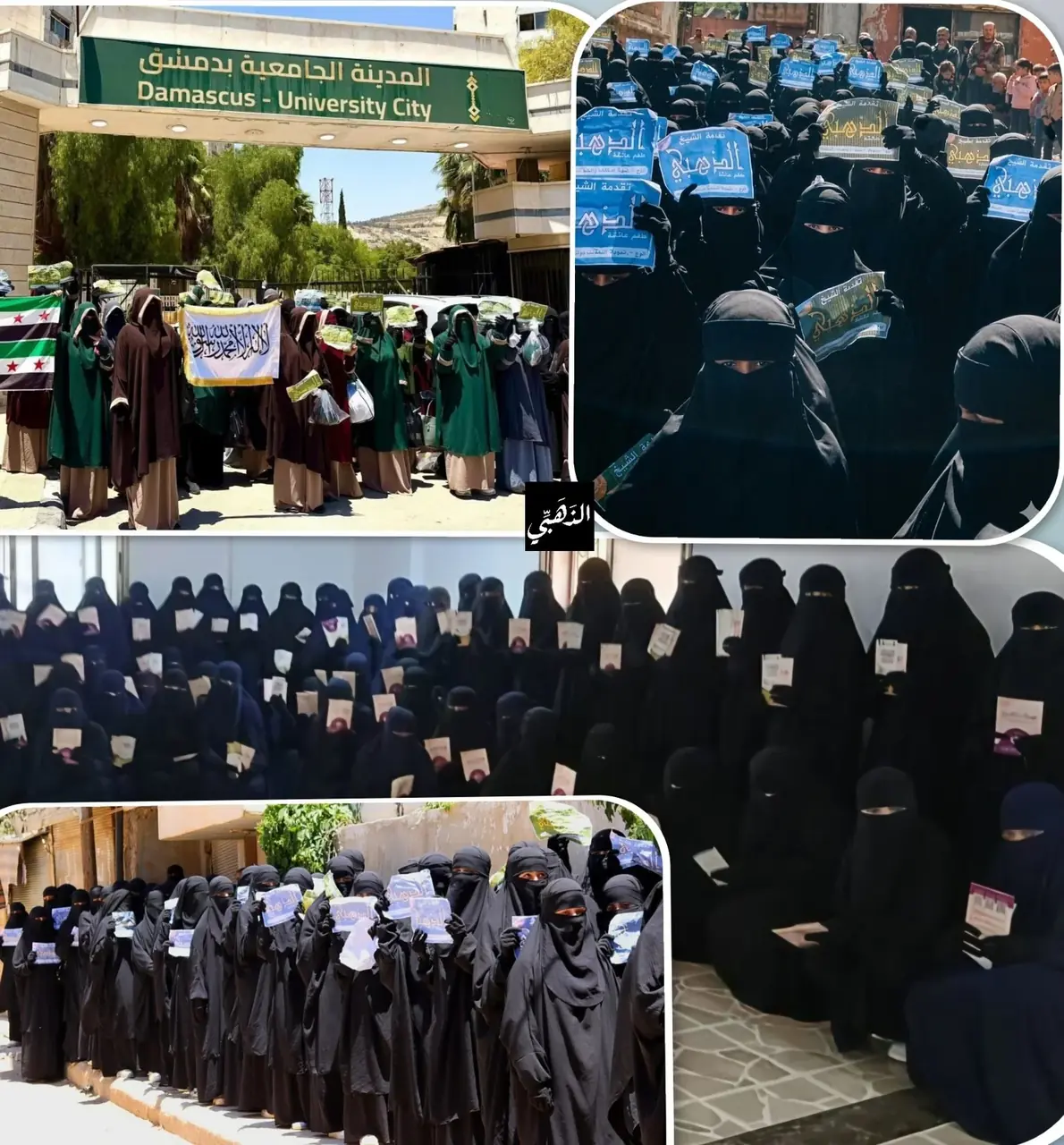 عکس ۲