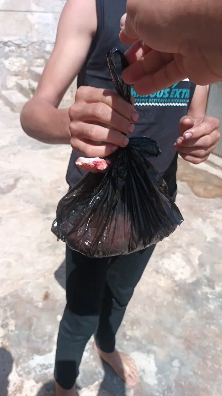 صورة 4
