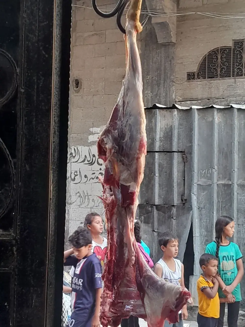 صورة 17