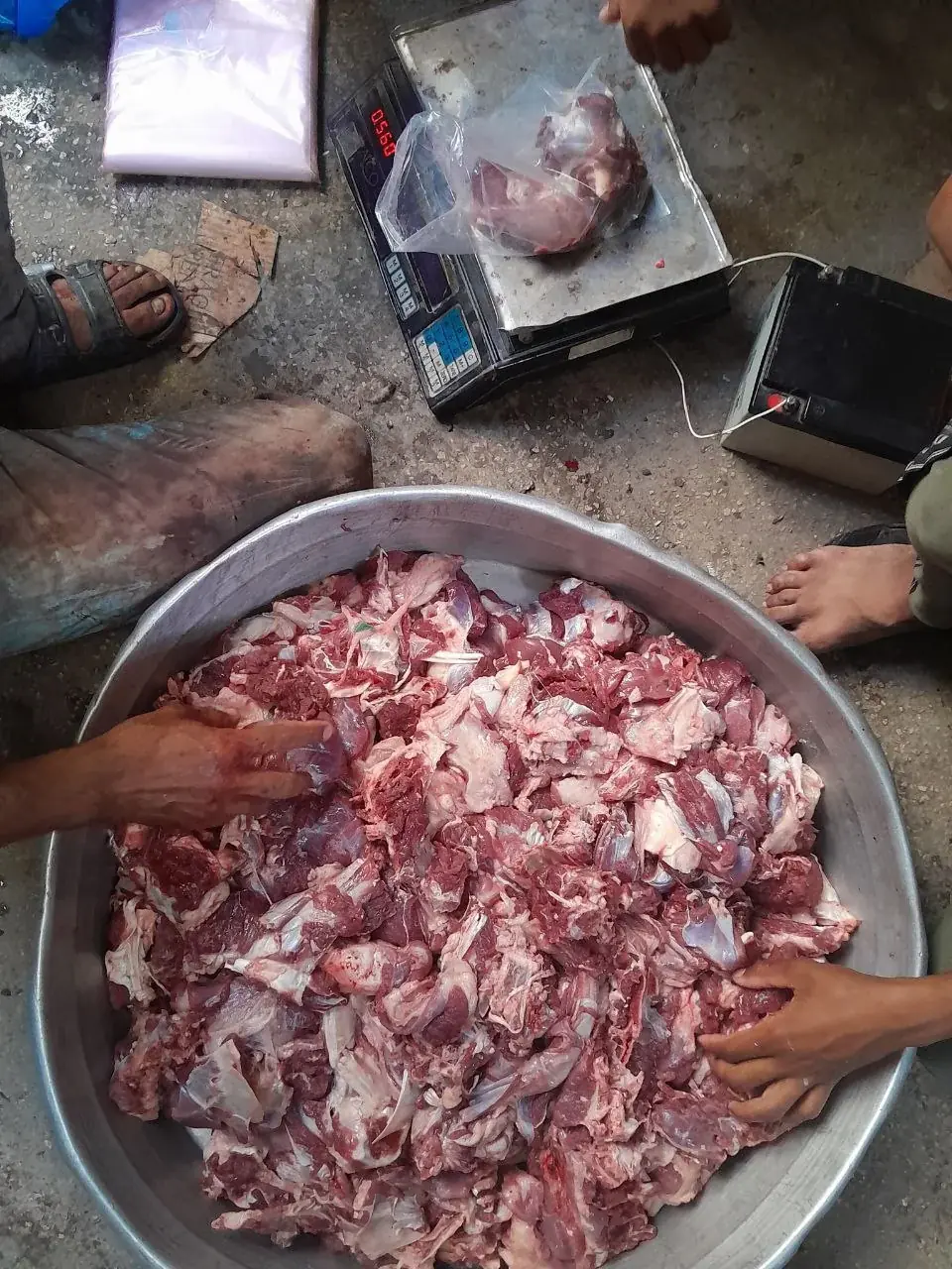 صورة 5
