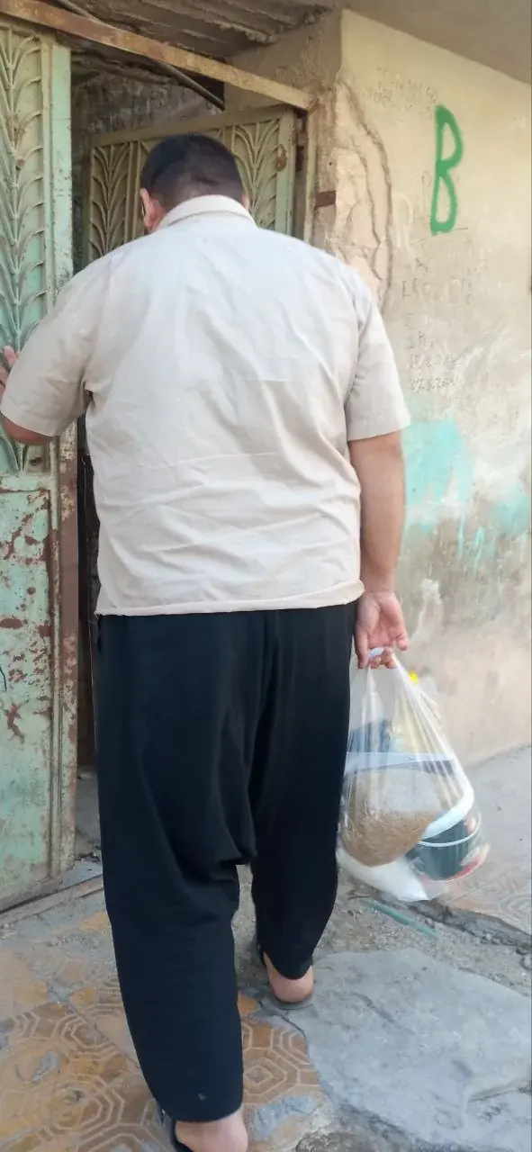 صورة 15